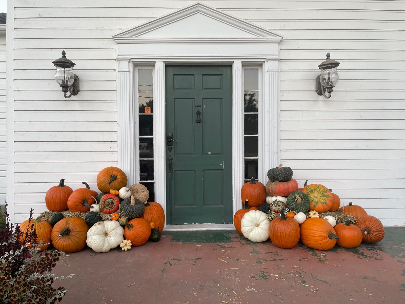 A porch full of pumpkins, designed and delivered by A Pumpkin Story