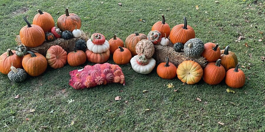 The Epic set laid out across straw bales before delivery