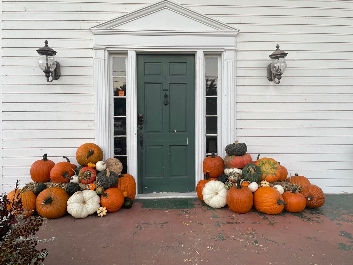 Pumpkins massed across a front step in warm afternoon light